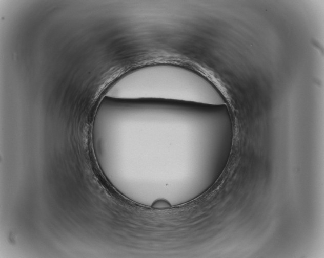 X0000096150010200801180839