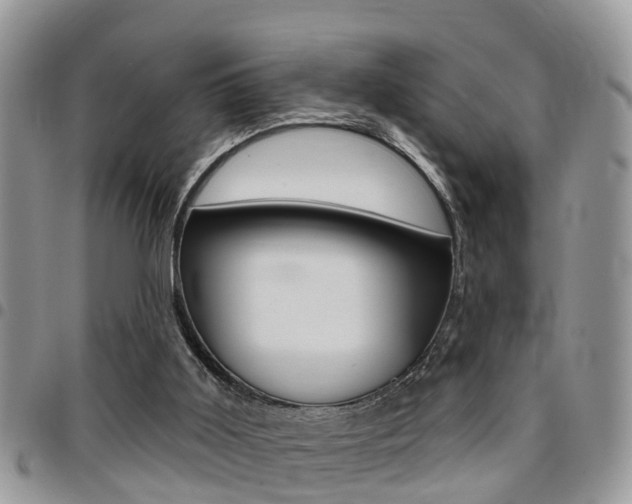 X0000096150011200801180839