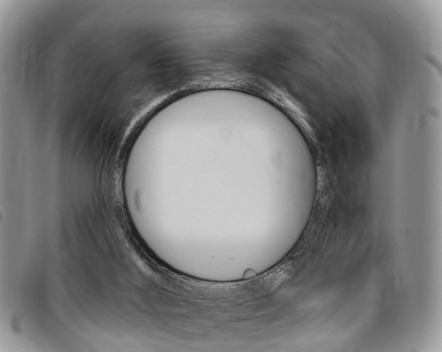 X0000096150012200801180839