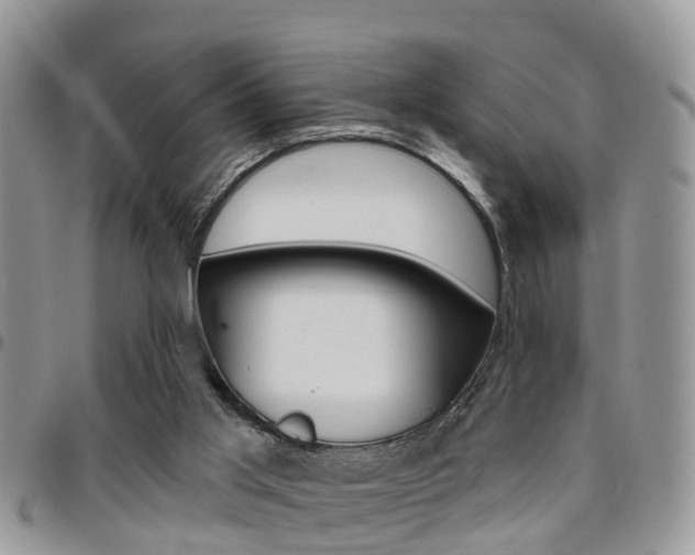 X0000096150013200801180839