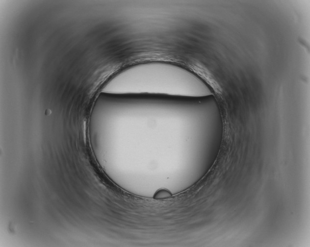 X0000096150014200801180839
