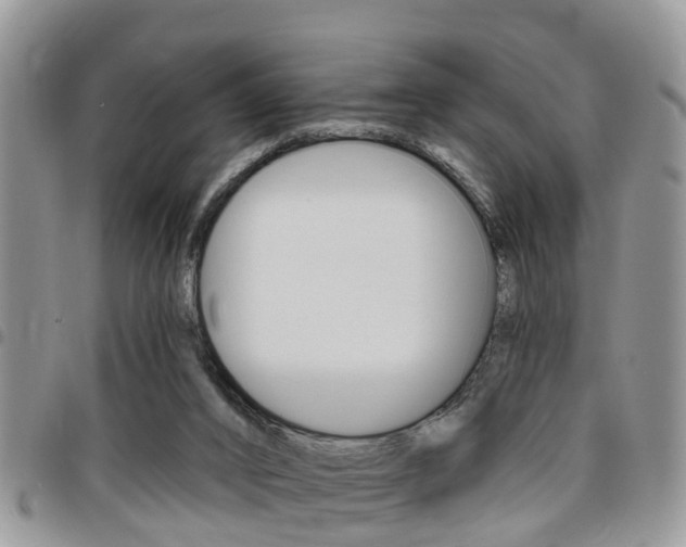 X0000096150016200801180839