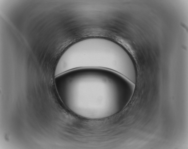 X0000096150017200801180839