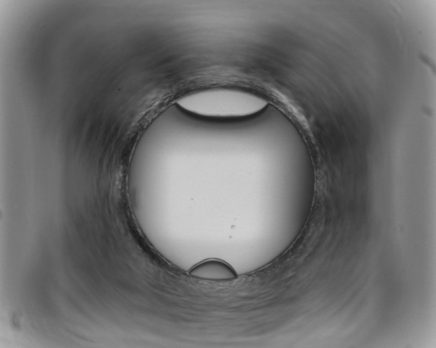 X0000096150018200801180839