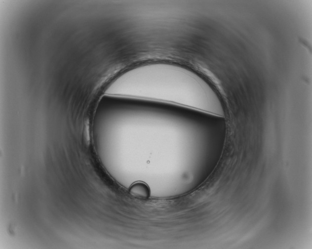 X0000096150020200801180839