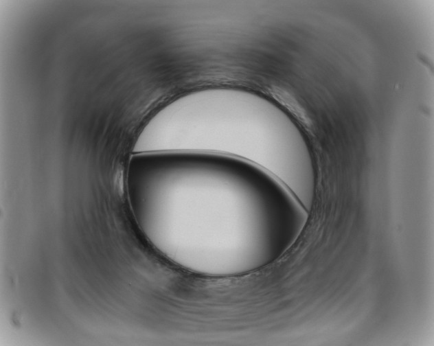 X0000096150021200801180839