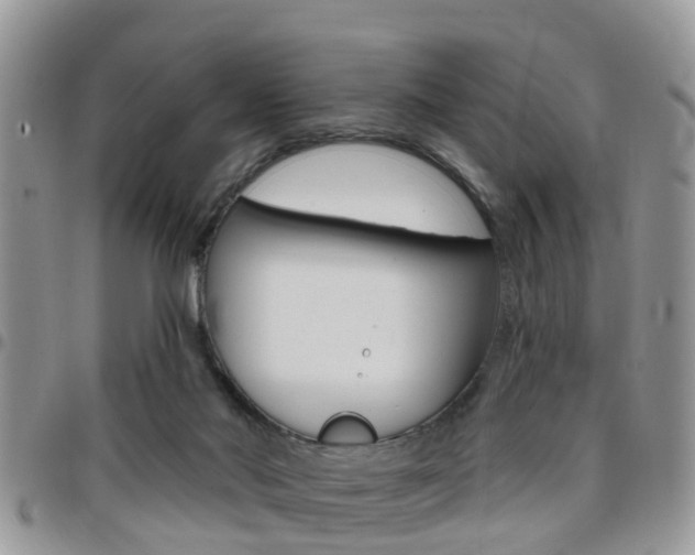 X0000096150022200801180839