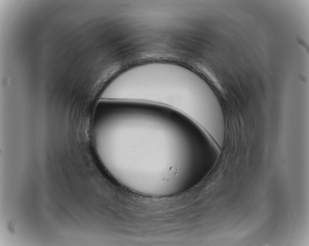 X0000096150023200801180839