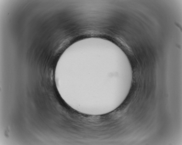 X0000096150024200801180839