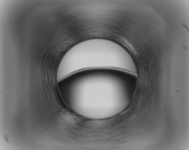 X0000096150025200801180839