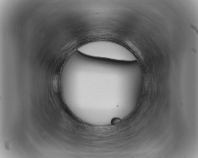 X0000096150026200801180839