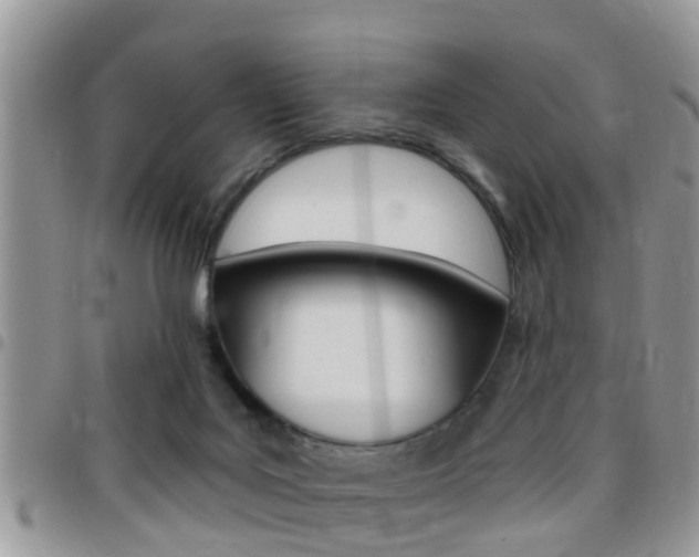 X0000096150027200801180839