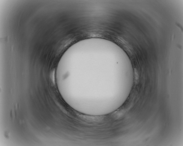 X0000096150028200801180839