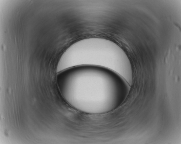 X0000096150033200801180839