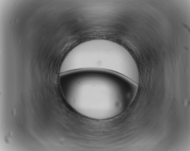 X0000096150035200801180839
