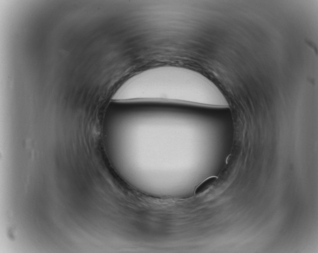 X0000096150040200801180839