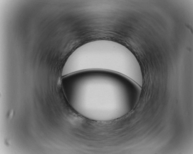 X0000096150041200801180839