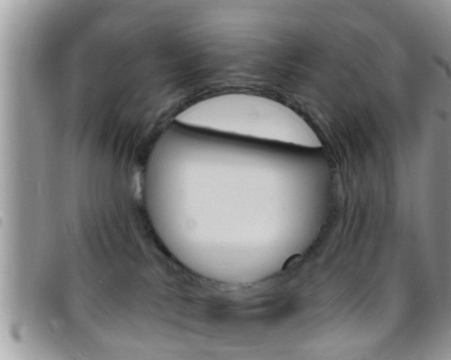 X0000096150042200801180839