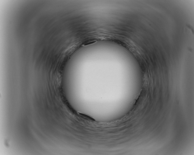 X0000096150043200801180839