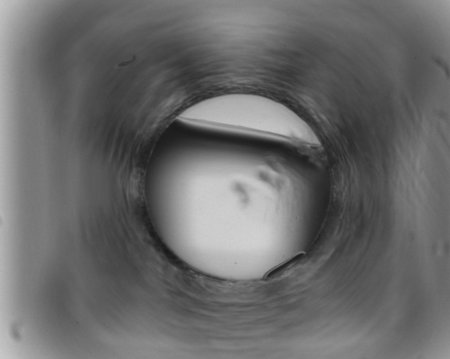 X0000096150044200801180839