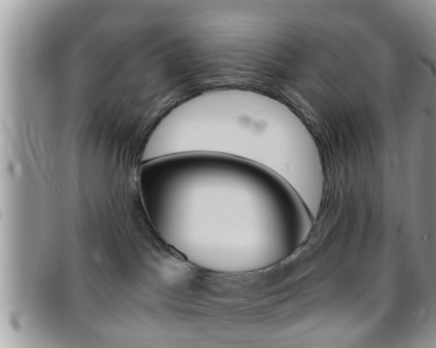 X0000096150045200801180839