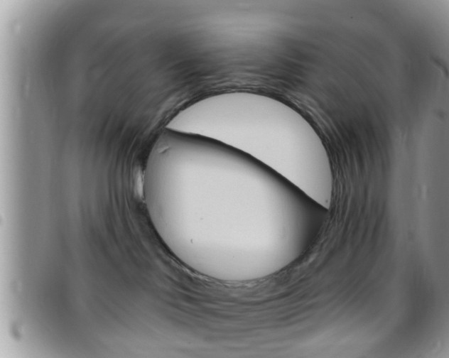 X0000096150046200801180839