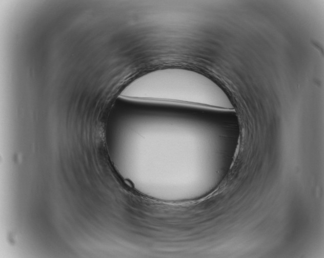 X0000096150048200801180839