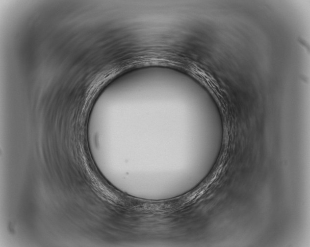 X0000096150049200801180838