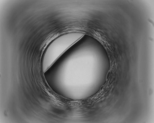 X0000096150050200801180838