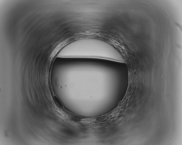 X0000096150051200801180838