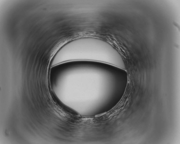 X0000096150052200801180838