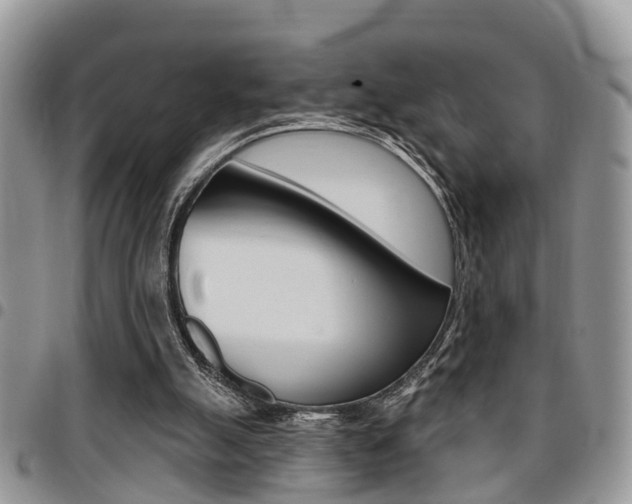 X0000096150055200801180838