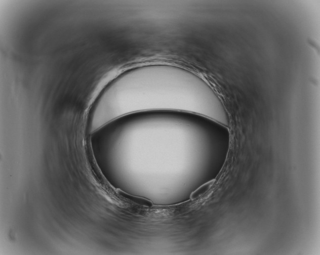 X0000096150056200801180838