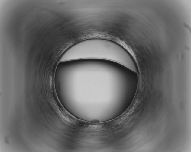 X0000096150057200801180838