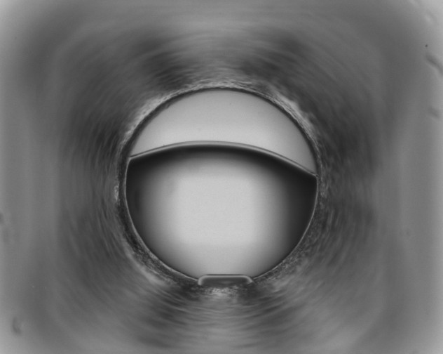 X0000096150060200801180838