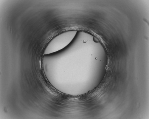 X0000096150061200801180838