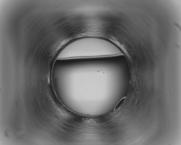 X0000096150062200801180838