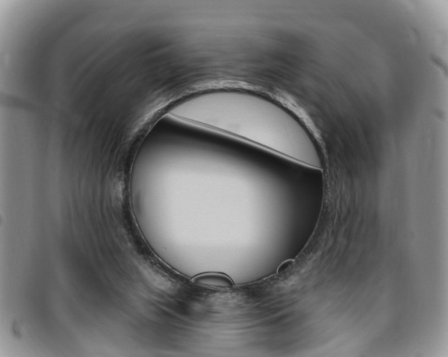 X0000096150063200801180838