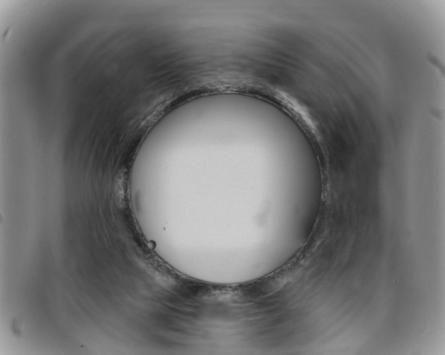 X0000096150065200801180838