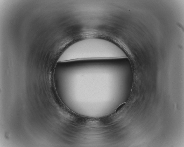 X0000096150066200801180838