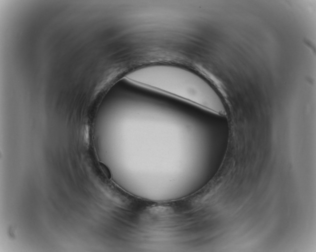 X0000096150067200801180838