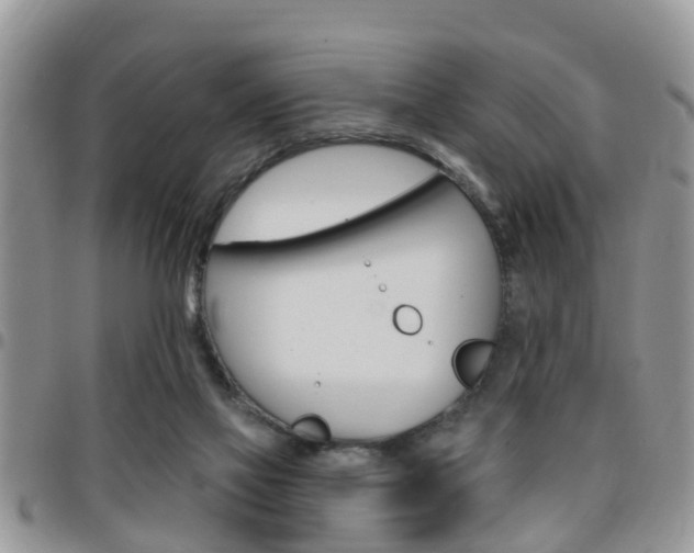 X0000096150069200801180838
