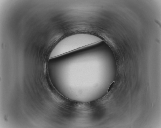 X0000096150070200801180838