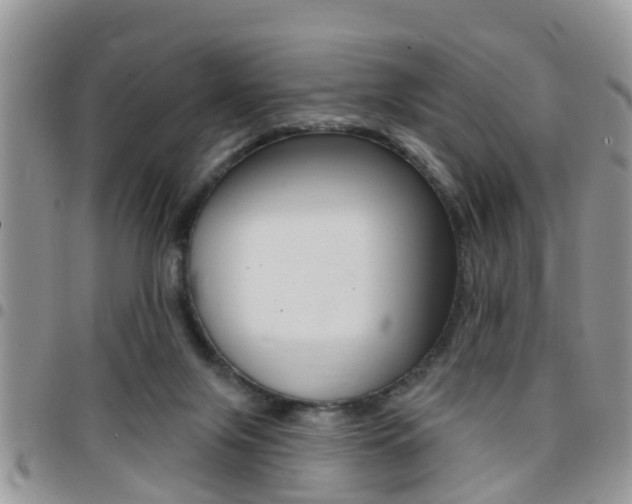 X0000096150071200801180838