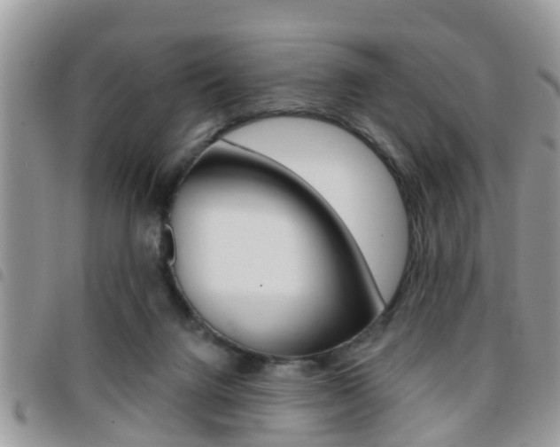 X0000096150072200801180838