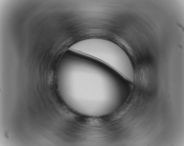 X0000096150073200801180838