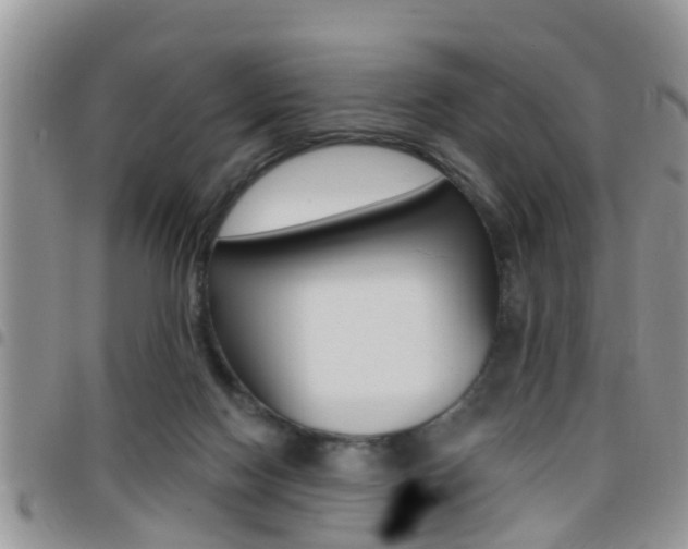 X0000096150074200801180838