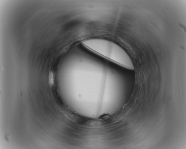 X0000096150075200801180838