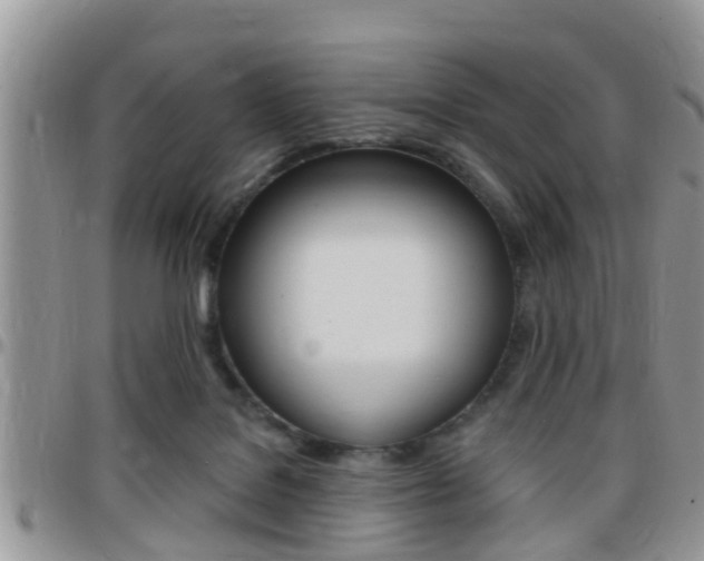 X0000096150076200801180838