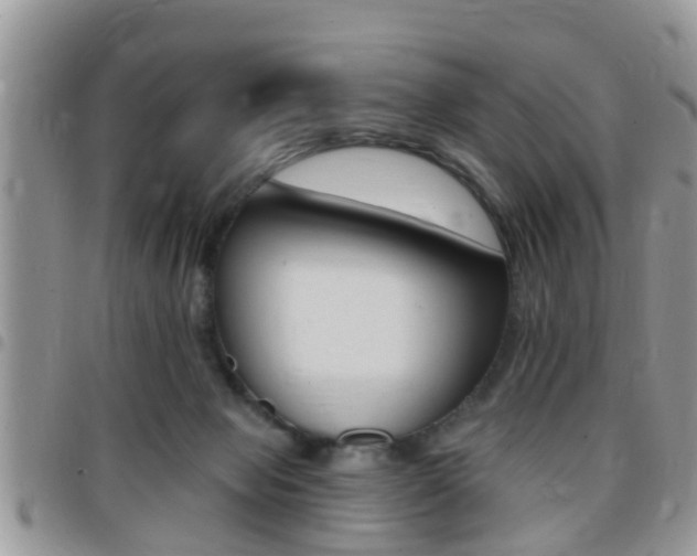 X0000096150077200801180838